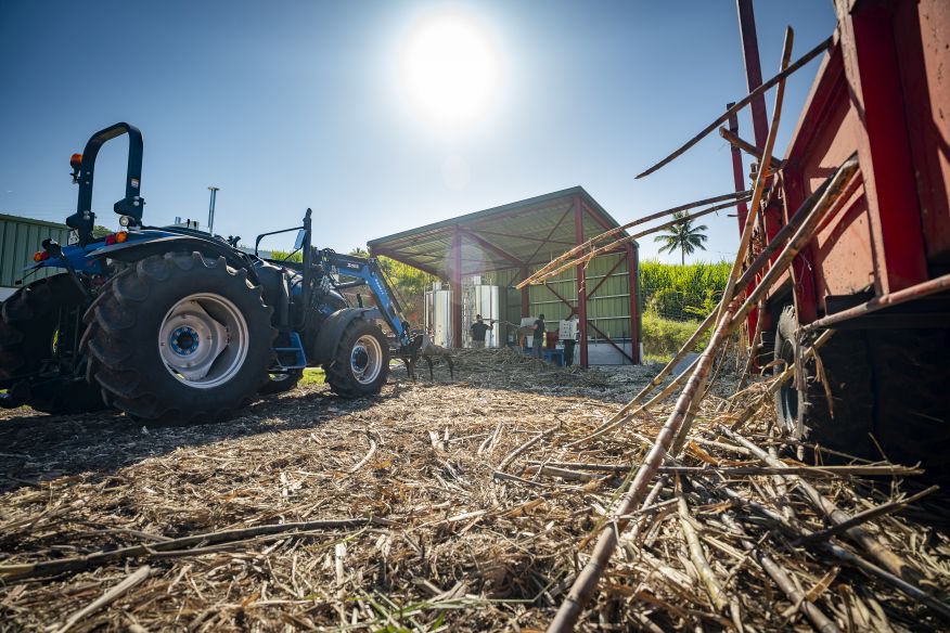 Mamzel, valoriser le terroir réunionnais en circuit-court